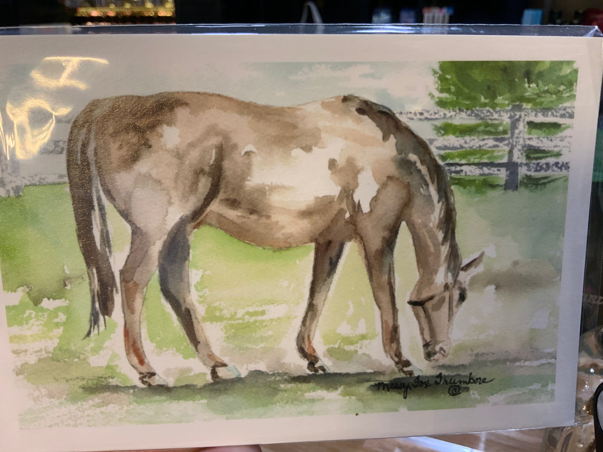 Postcards by Missy Fox Trumbore
