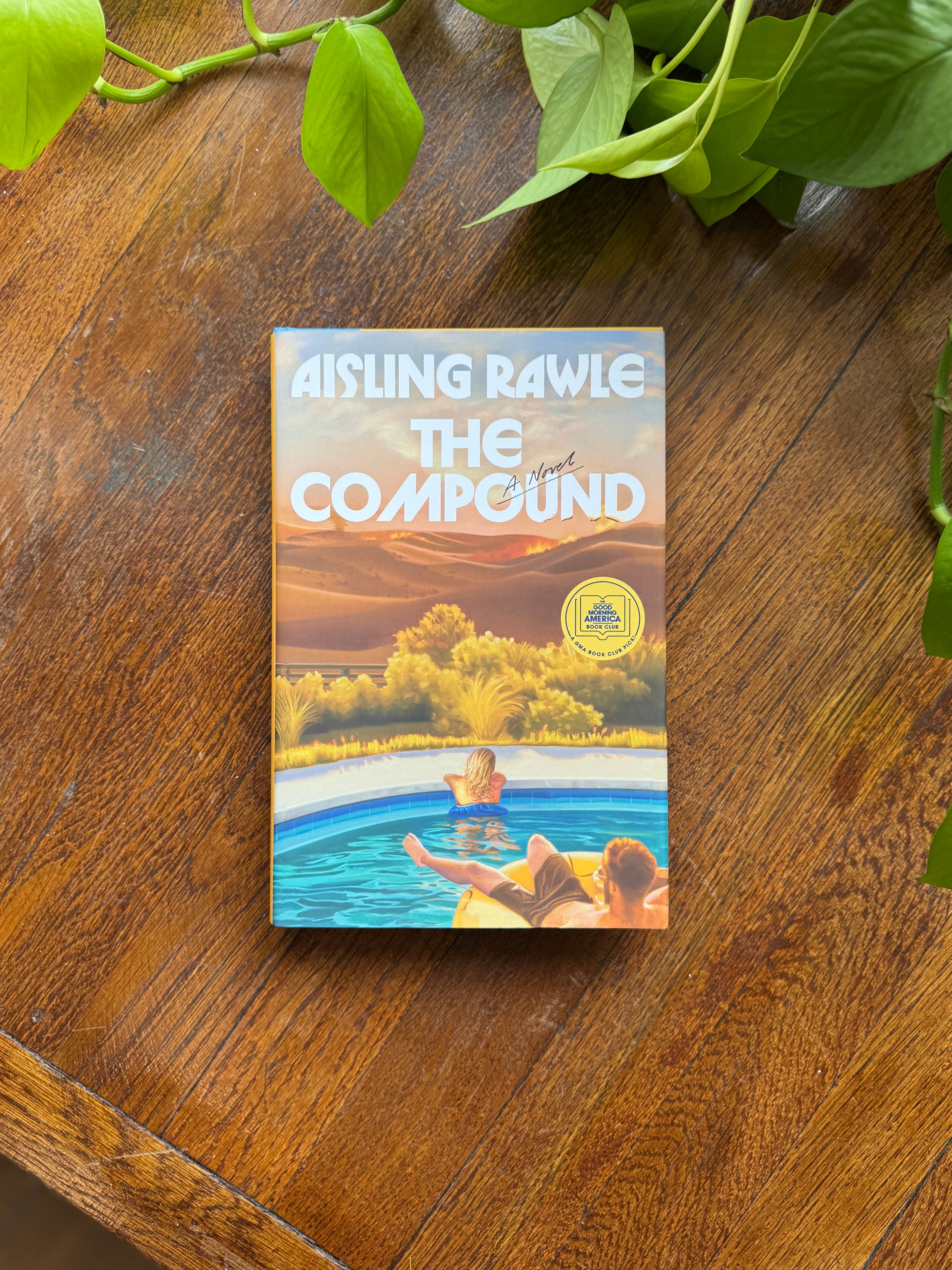 The Compound by Aisling Rawle