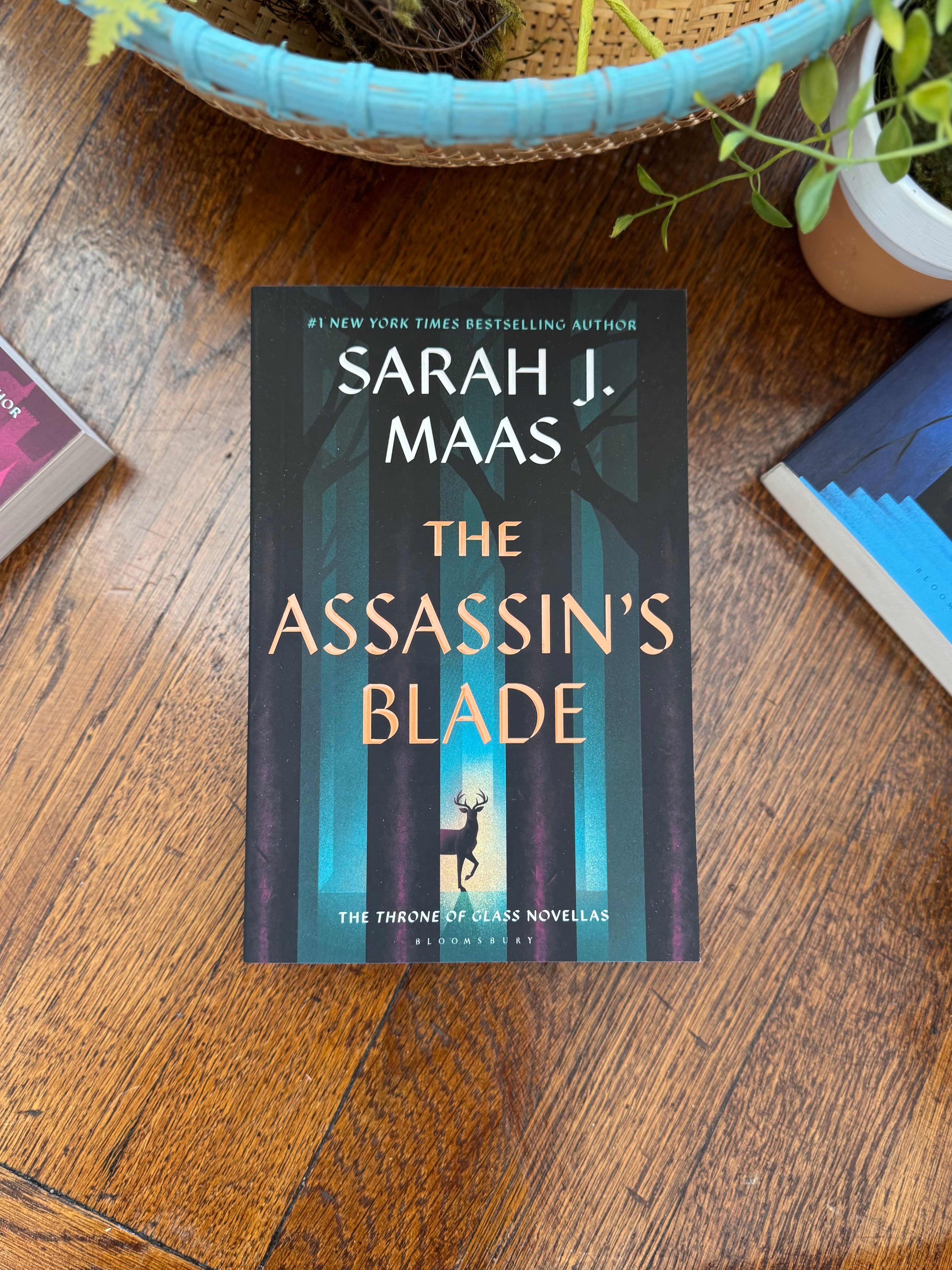 The Assassin’s Blade by Sarah J Maas