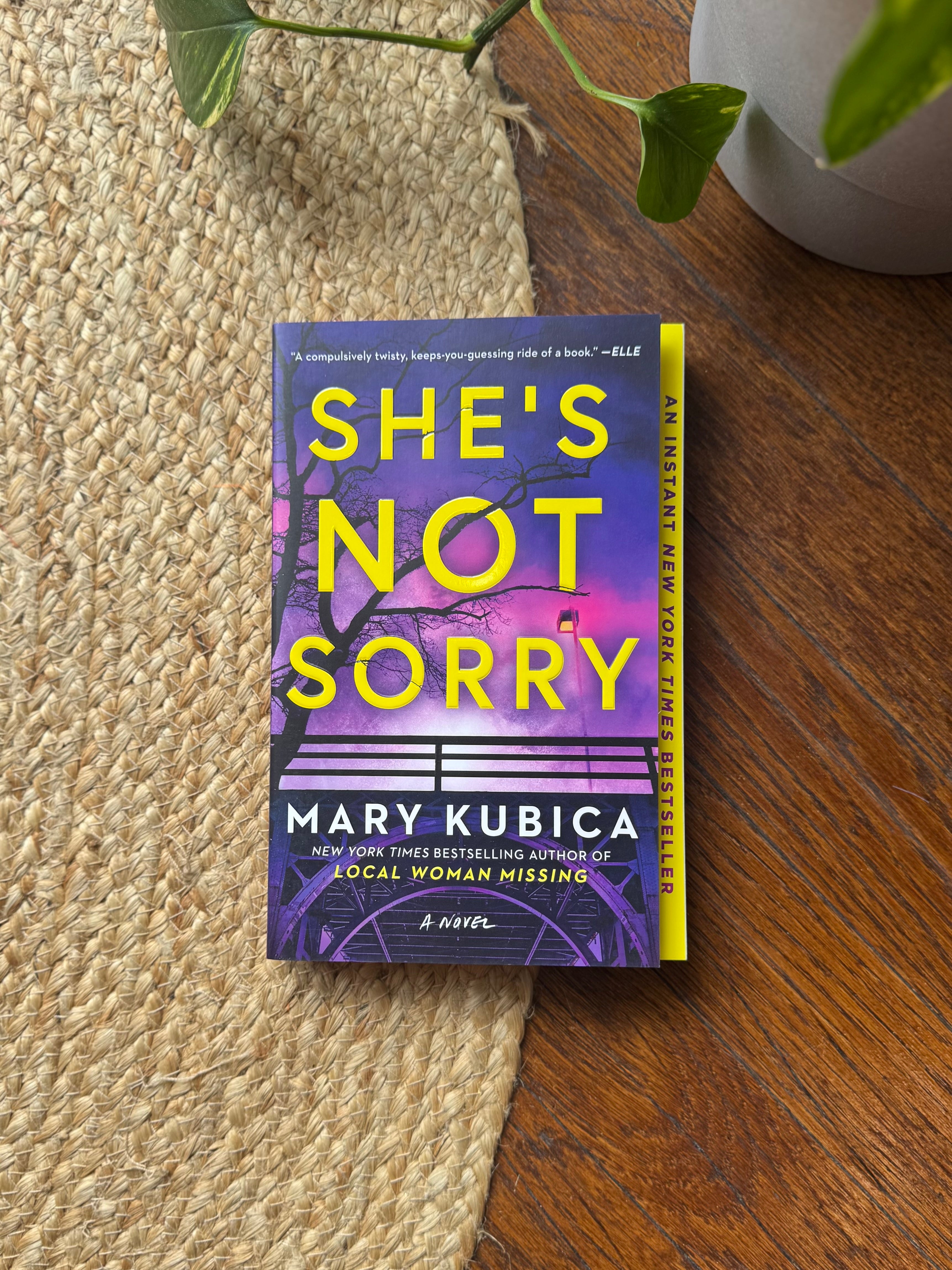 She’s Not Sorry by Mary Kubica