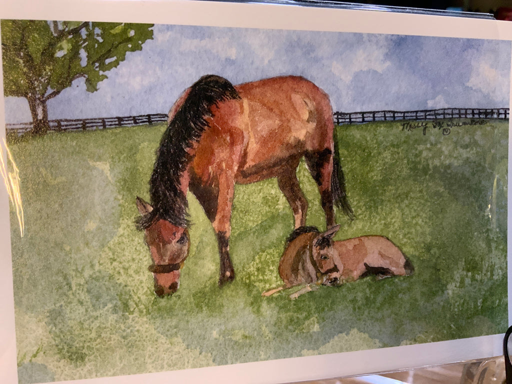 Postcards by Missy Fox Trumbore