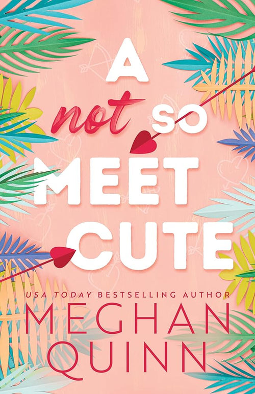 A Not So Meet Cute (Cane Brothers, 1) cover image