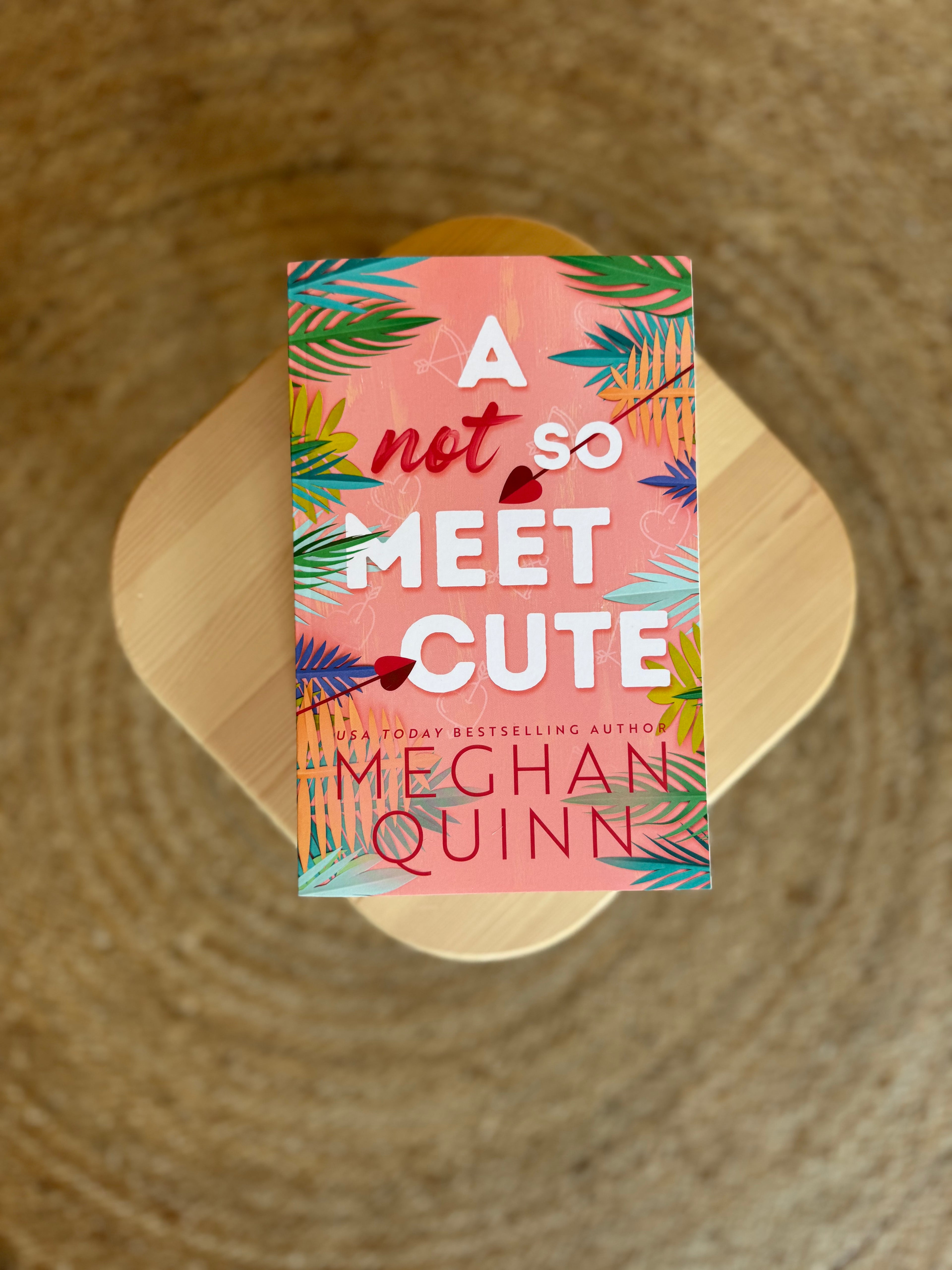 A Not So Meet Cute (Cane Brothers, 1) by Meghan Quinn