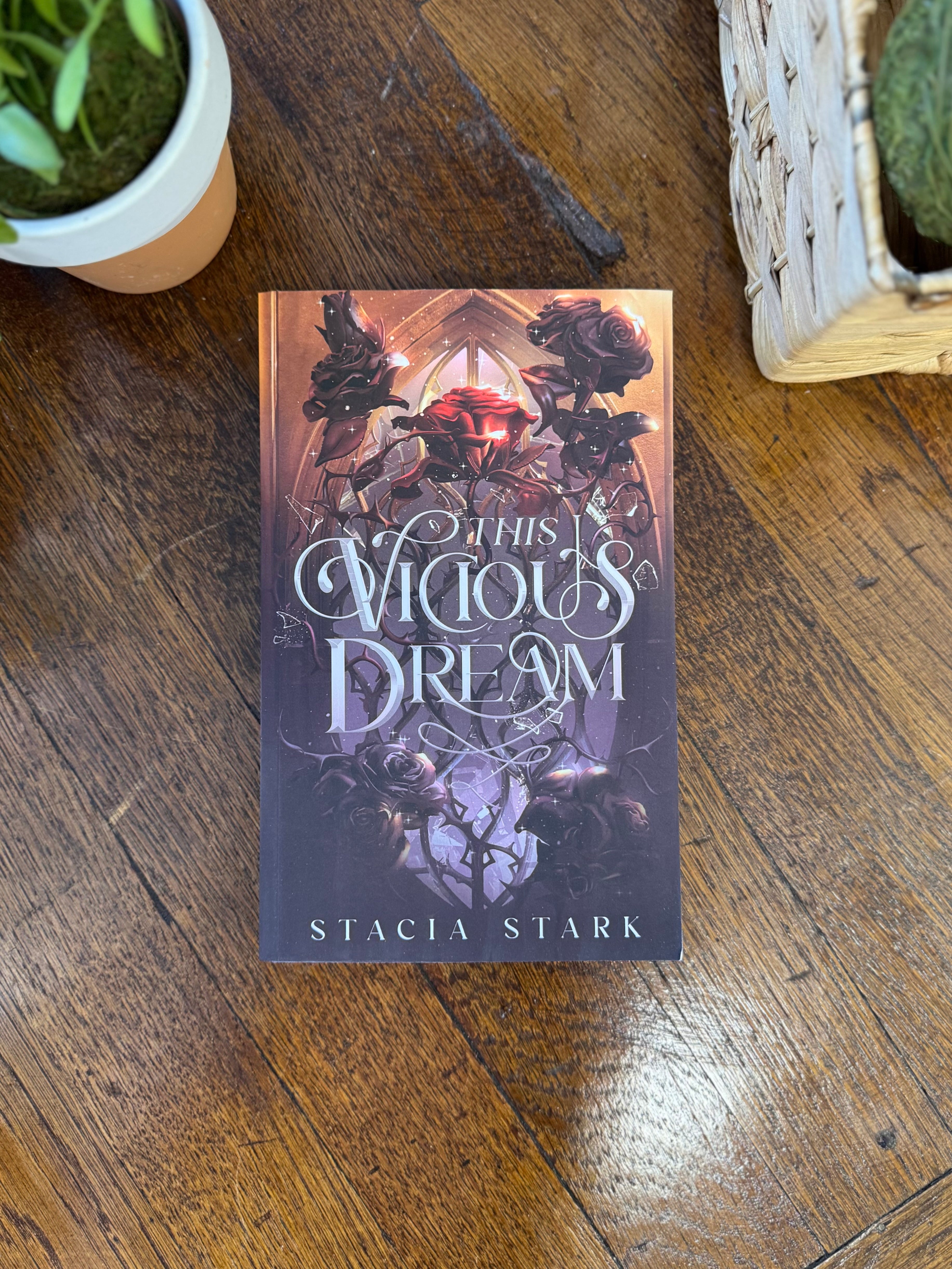 This Vicious Dream by Stacia Stark