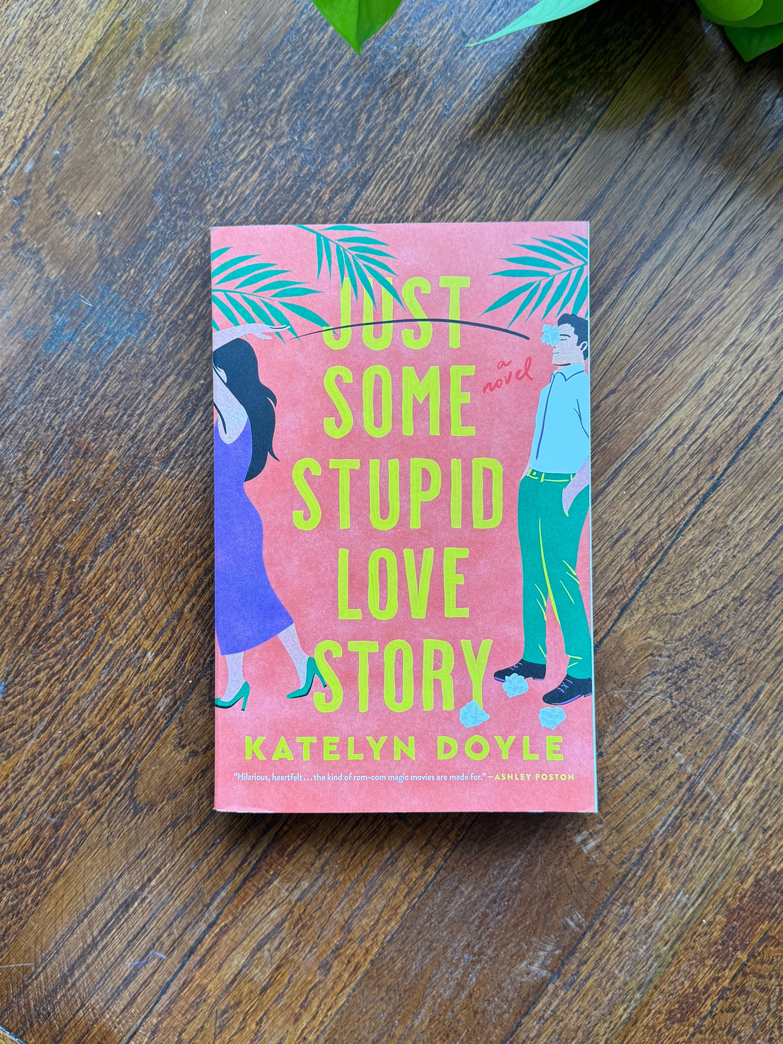 Just Some Stupid Love Story: A Novel by Katelyn Doyle