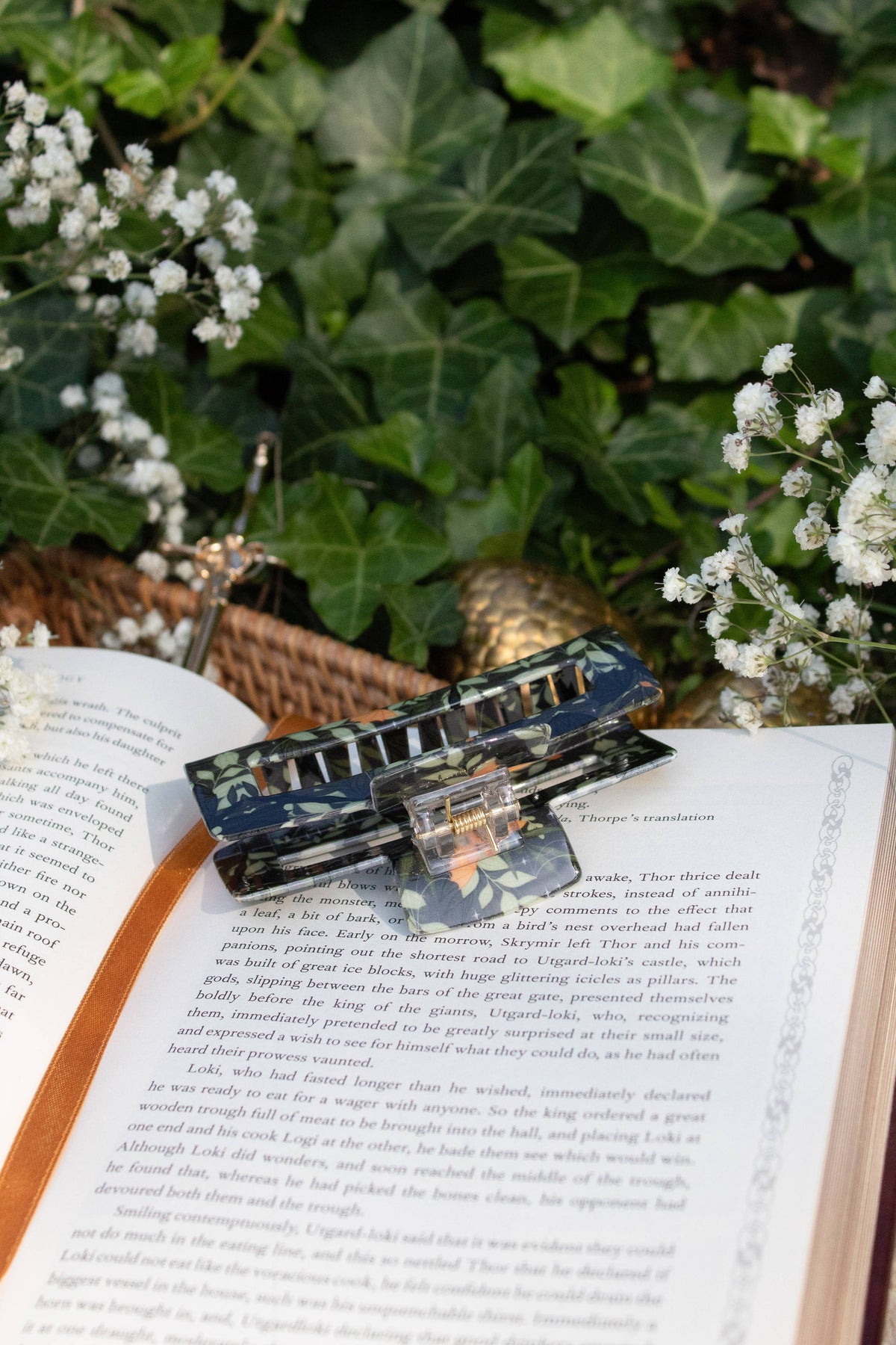 Bookish Hair Claw Clip - Fourth Wing Tairn and Andarna